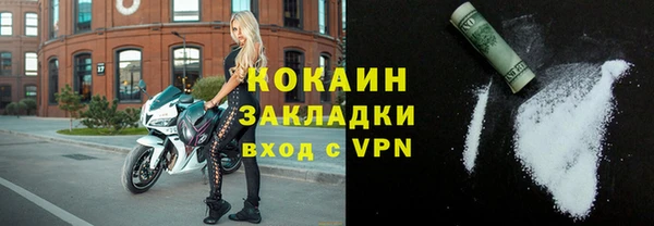 гашик Гусь-Хрустальный