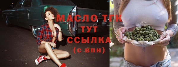 гашик Гусь-Хрустальный