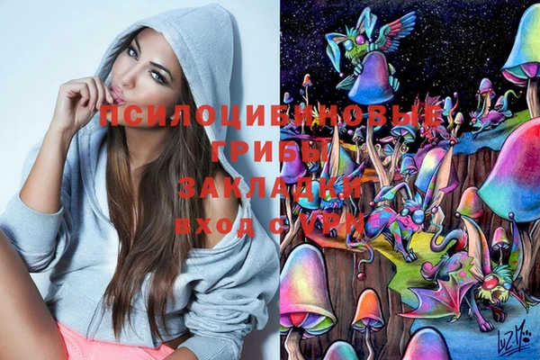 первитин Гусев