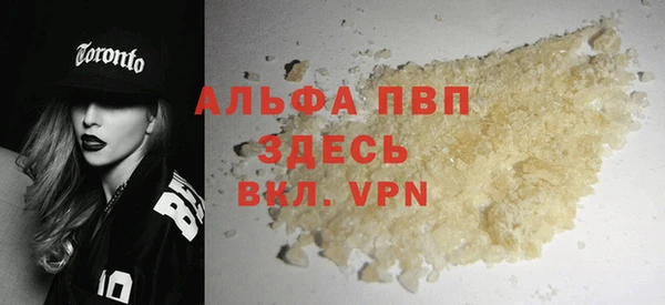 гашик Гусь-Хрустальный