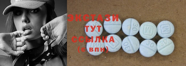 гашик Гусь-Хрустальный