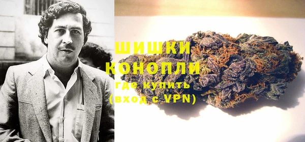 первитин Гусев
