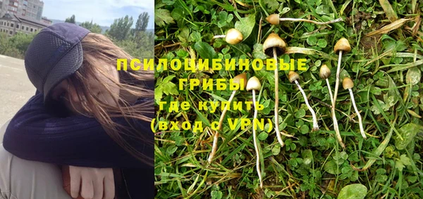 меф VHQ Дмитриев