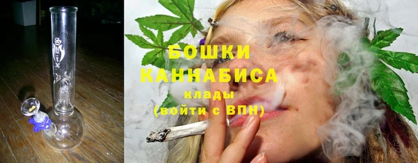 гашик Гусь-Хрустальный