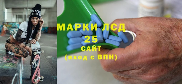 гашик Гусь-Хрустальный