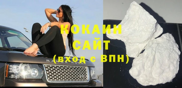 гашик Гусь-Хрустальный