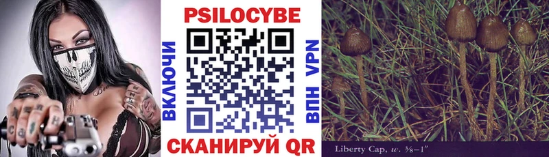 наркошоп  Сертолово  Псилоцибиновые грибы MAGIC MUSHROOMS 